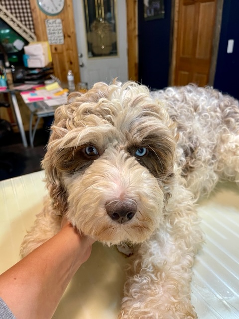 Double R Raya (New pics coming in the fall)