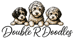 Double R Doodles Logo